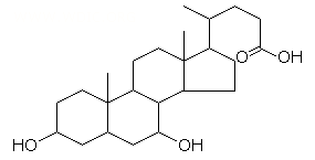ケノデオキシコール酸(7位のOH基がない)