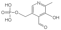 ビタミンB6(ピリドキサール燐酸)