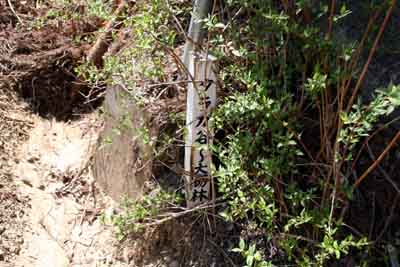 タラガ谷〜大切林道の標識は埋もれている