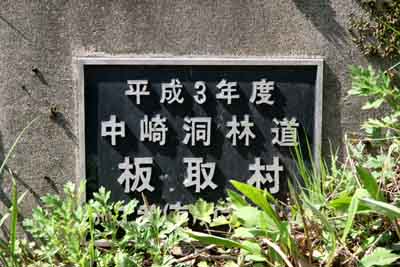 中崎洞林道 2