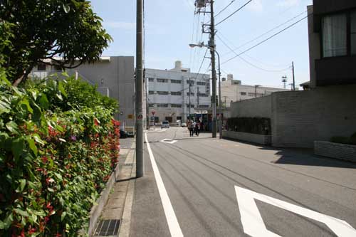 横浜 広陵高校通り 境木小学校