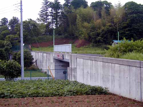 街路を渡る状況