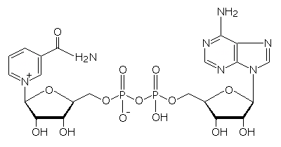 NAD+