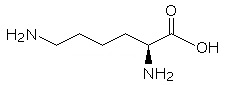 L-リジン