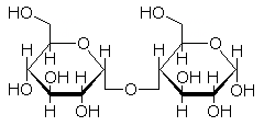 麦芽糖