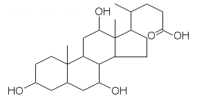 胆汁酸 コール酸