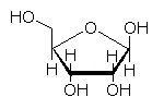 β-D-リボース