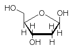 2-デオキシ-β-D-リボース