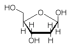 2-デオキシリボース