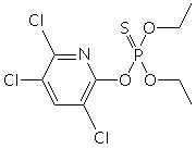 NszX