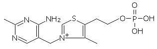 チアミン一燐酸