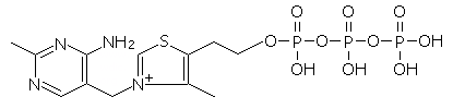 チアミン三燐酸