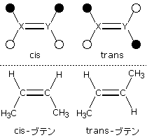 シス・トランス結合