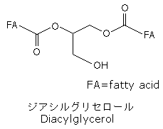 ジアシルグリセロール