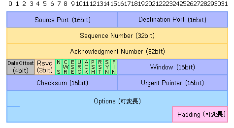 TCPヘッダーの構造